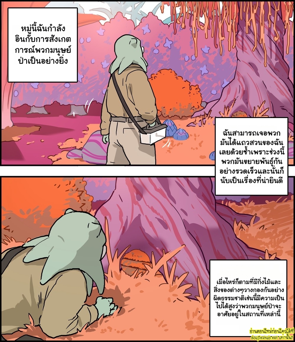 ผู้สังเกตการณ์-1